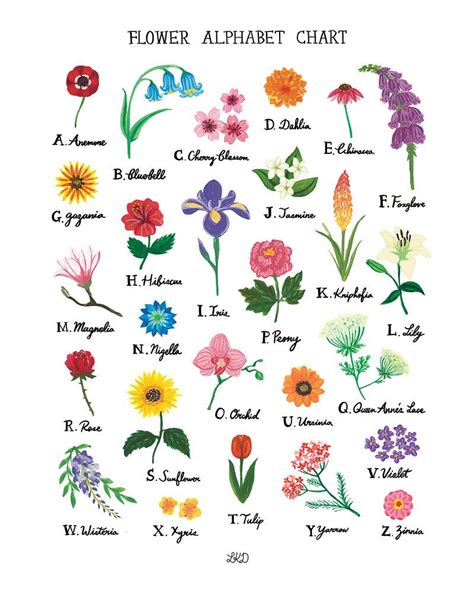 blumen liste alphabetisch.